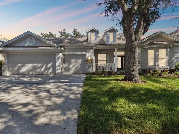 10244 Shadow Branch Dr, Tampa, FL 33647