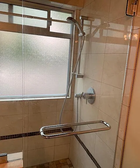 Master Bathroom Shower