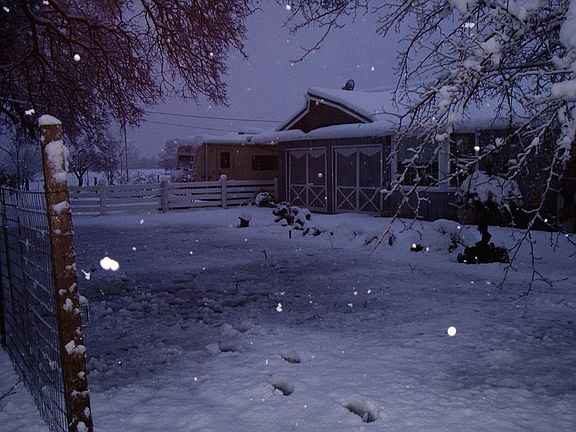 front of homw on east 