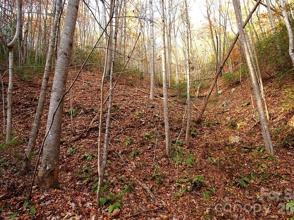 1st image of Rector Branch Rd #4