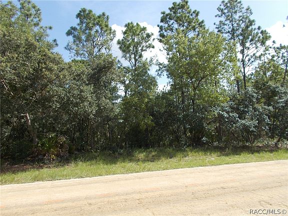 2nd image of 4347 W Pansy Ln