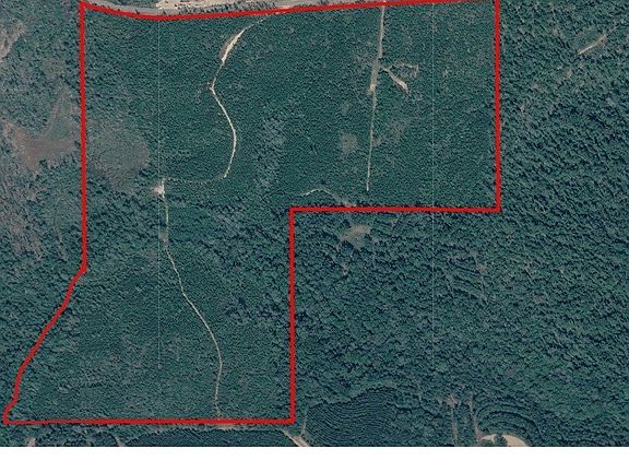 2nd image of 0 Butter And Egg Rd