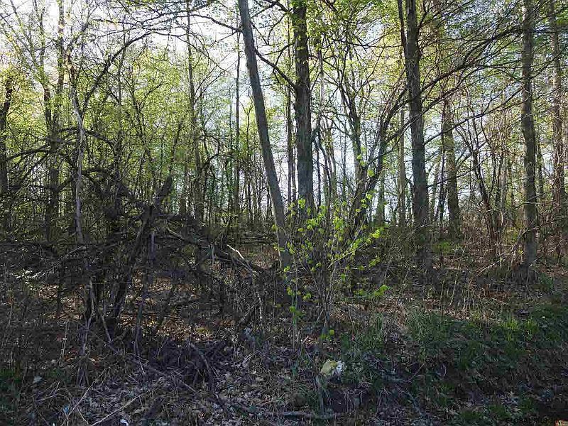 2nd image of Gronczniak Road