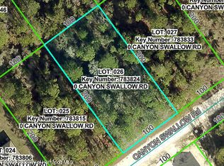 14181 Canyon Swallow Rd, Brooksville, FL 34614