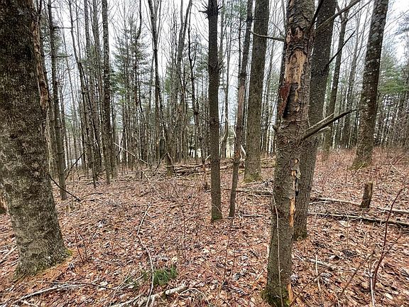 2nd image of Keno Road Jonahs Knob