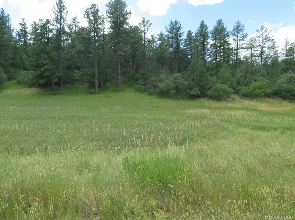 4988 Comanche Drive, Larkspur, CO 80118