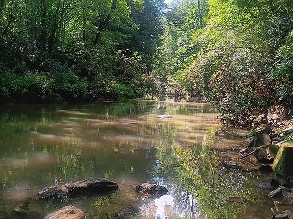 4th image of 899 Flat Rock Rd