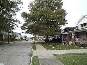 2nd image of 9603 Dorothy Ave