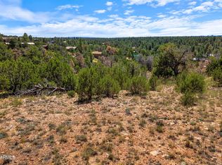 3620 ZANE GREY Trail #42, Overgaard, AZ 85933