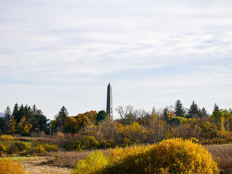 The Hamlet at Saratoga Springs — Photo 41
