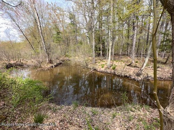 276 Silver Spur Road E, Cairo, NY 12413