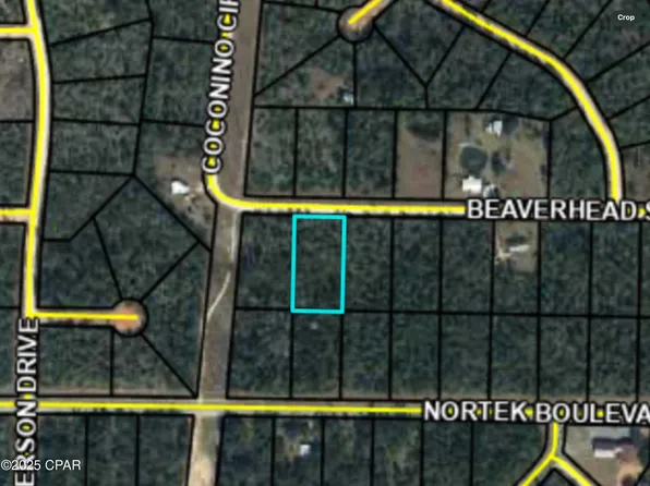 0 Beaverhead St, Alford, FL 32420