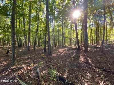 0 Partridge Trl #28, Grandview, TN, 37337