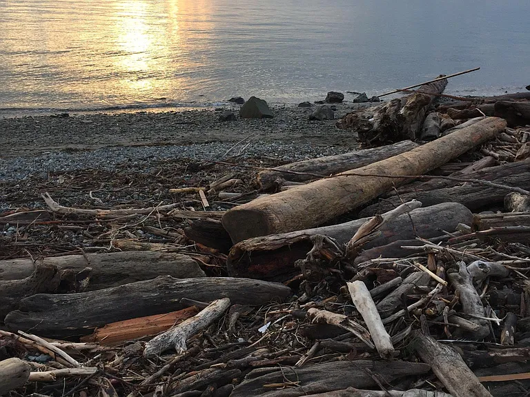 Discovery Park is within running and walking distance. Seattle's largest park home to varied habitats and great trails