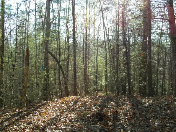 Waters End Rd, Walland, TN 37886