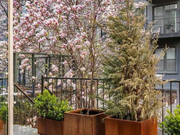 49 East 126th Street image 5 of 9