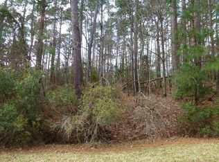 203 Green Tree Dr, Coldspring, TX 77331