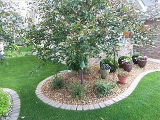 5th image of 10793 Knickerbocker Ct