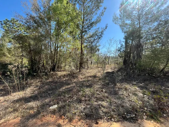 Tbd Lily Drive, Interlachen, FL 32148