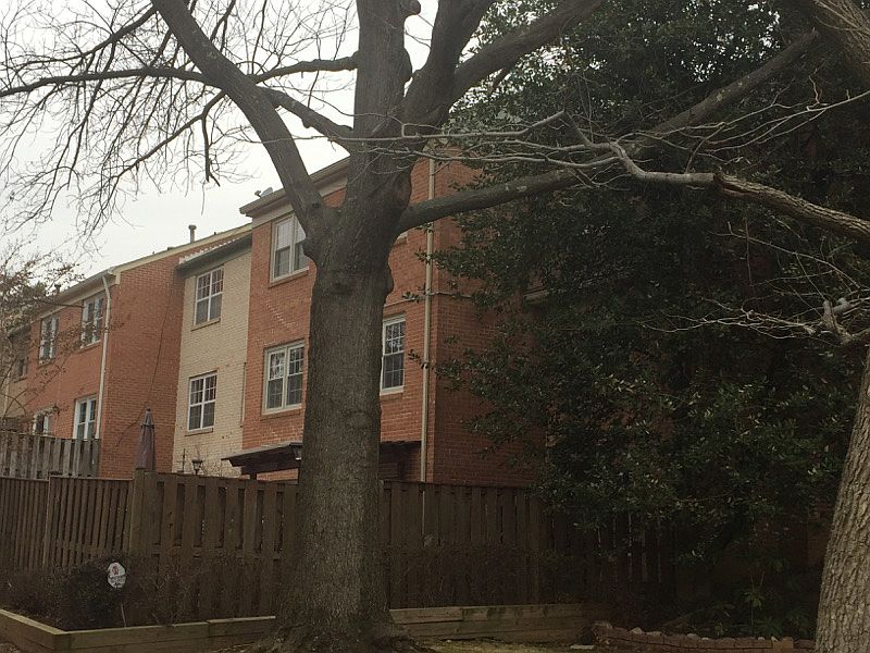Fenced Yard w/ Patio & Deck