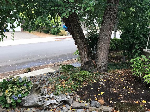 Front Yard Landscaping
