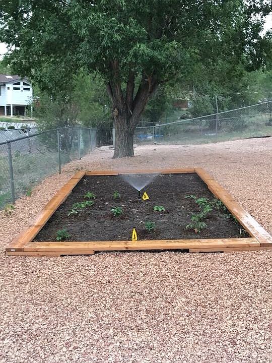 Garden with sprinkler 