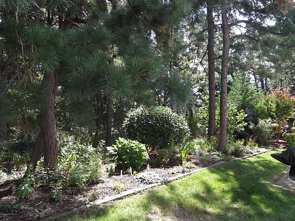 3rd image of 4 Brightwinds Ct