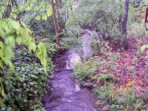 2 View creek from bridge