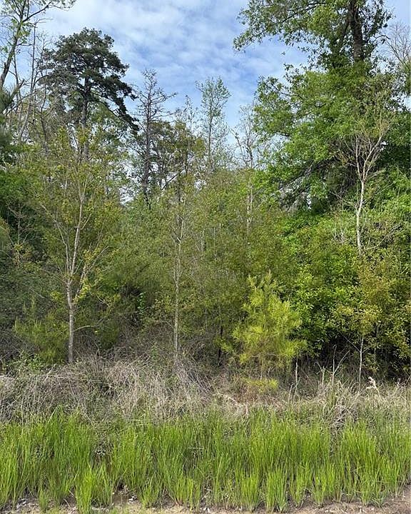 2nd image of Odra Pritchard Leteff Rd