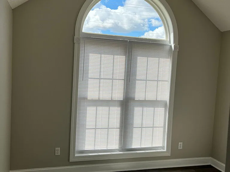 317 Primrose Ln — Photo 11