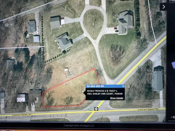 4501 Shelby Ann Ct, Pigeon, MI 48755
