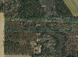 Drury Ln, Meigs, GA 31765