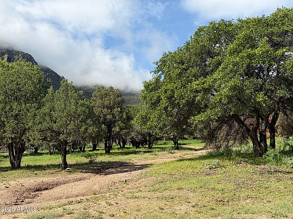 5th image of 0 E Ramsey Canyon Road #-