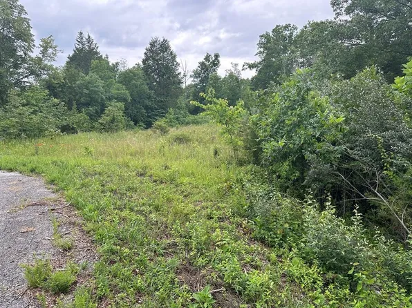 66 Beachman Camp Rd, Burkesville, KY 42717