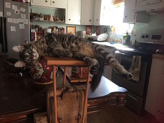 Cute Country Kitchen