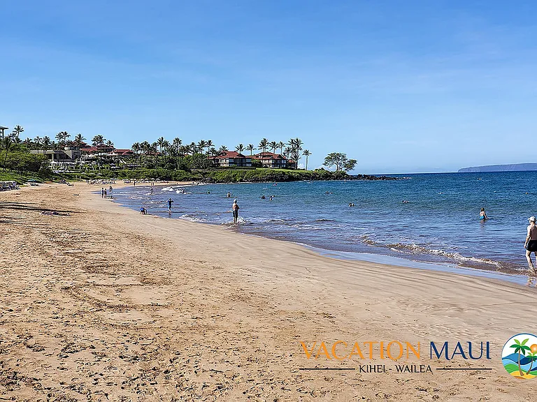 Wailea Alanui Dr — Photo 46