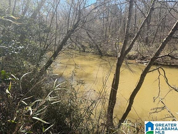 3rd image of Pate Rd Lot 7
