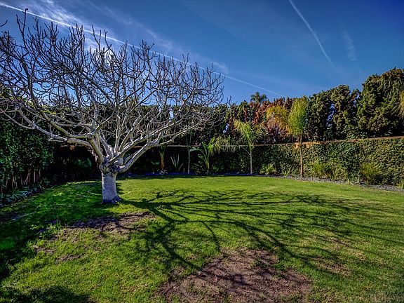 Large, grassy yard -- great for kids and dogs.
