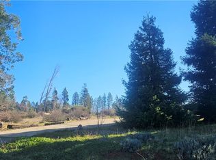 13694 W Park Dr Lot 463, Magalia, CA