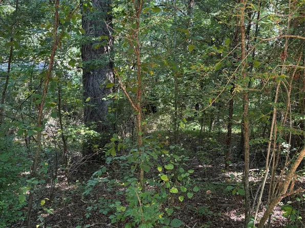 Bedford Creek Rd, Ellenboro, NC 28040