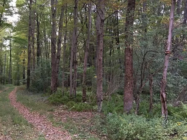 Pine Grove Rd, Newfoundland, PA 18445