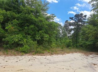 1 Santee Ln, Elloree, SC 29047