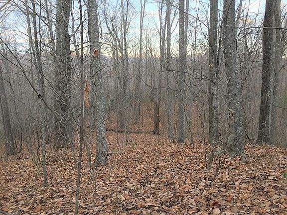 3rd image of 92 Wintergreen Patch Ln