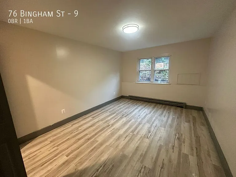 76 Bingham St #9 — Photo 6