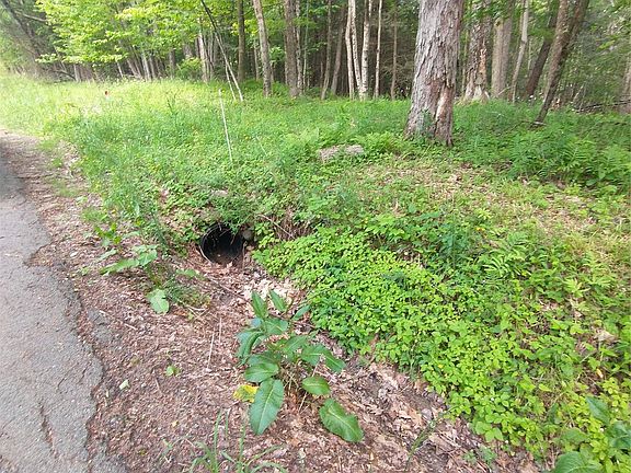 4th image of Old Loomis Road