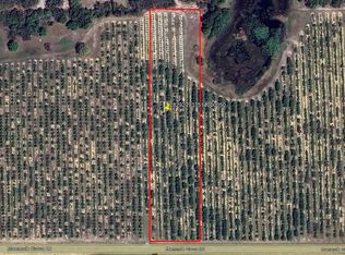 Mammoth Grove Rd, Lake Wales, FL 33898