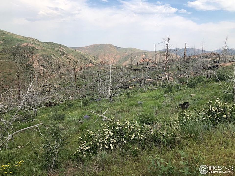 1st image of Meadow Mountain Dr
