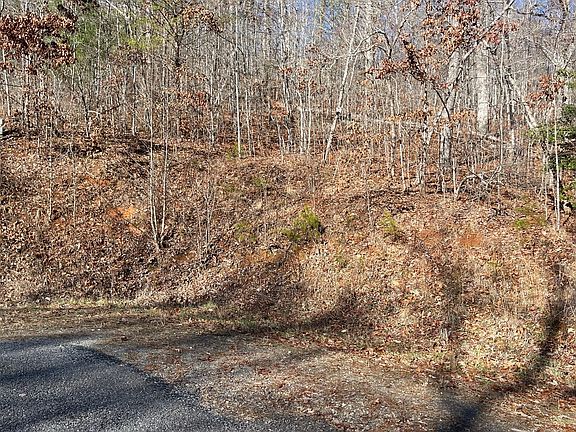 2nd image of LOT 14 Shallow Creek Cir