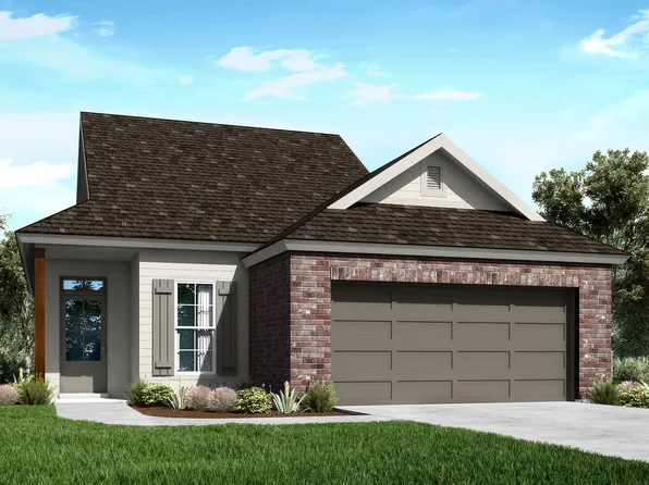 Ava Plan, The Cedars