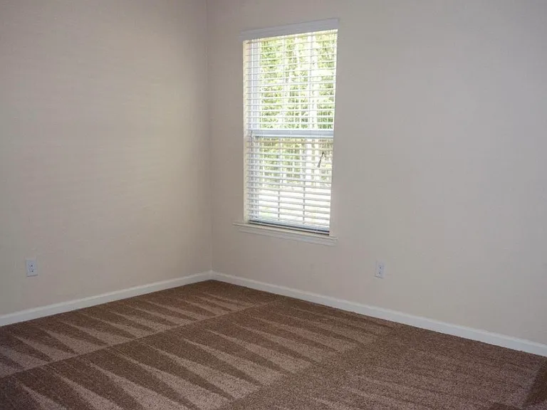 716 Soldier Gray Ln — Photo 9